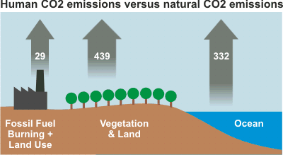 Carbon Cycle emissions Skeptics version